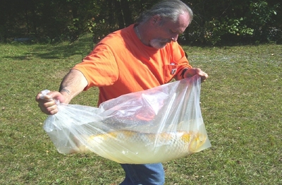 Image October 2007 Pond Harvest